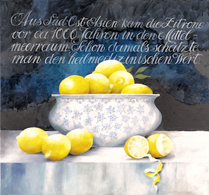 Zitronenschale, Öl auf Leinwand 60x70 CM